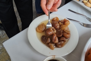 Bolu’da Aydın rüzgarı esti